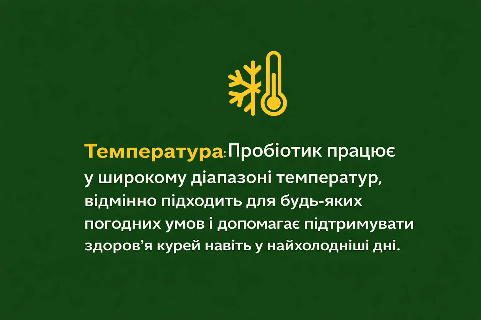 chatgpt-image-17-fevr.-2026-g.-15_41_24.png