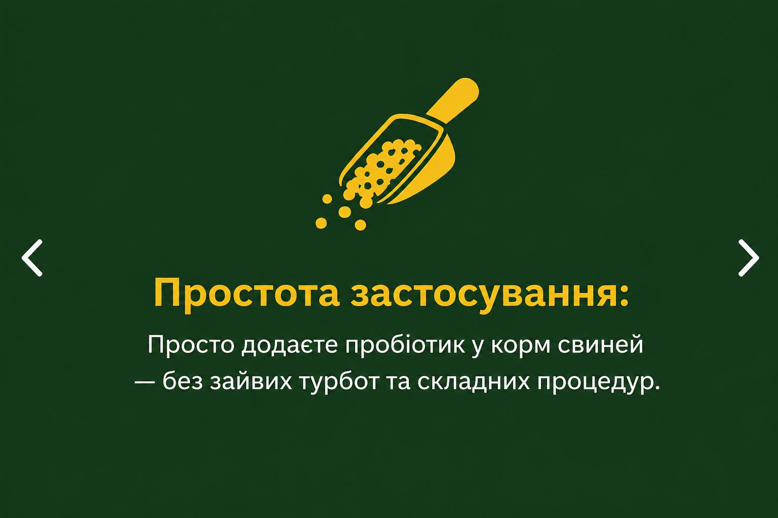 ChatGPT Image 2 сент. 2026 г., 23_24_57